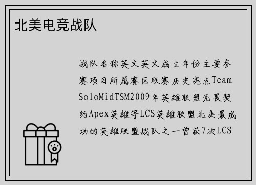 北美电竞战队